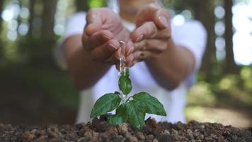 concetto la cura della terra video