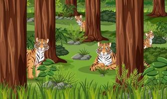 familia de tigre en el fondo del paisaje forestal vector