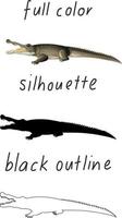 Set of crocodile in color, silhouette and black outline on white background vector