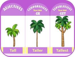 Comparative and Superlative Adjectives for word tall vector