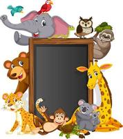 Empty blackboard with various wild animals vector