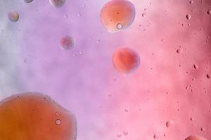Water and oil, color abstract background based on pink, rose, purple and yellow color circles and ovals, macro abstraction, real photo.