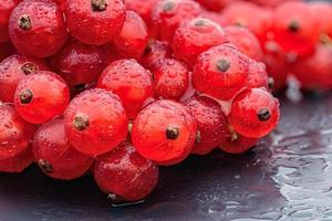 Red currant berries with water drops on the dark grey background. Macro photo. photo