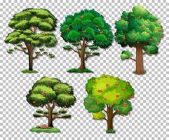 Set of different trees vector