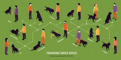Training Dogs Isometric Infographics