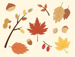 conjunto de hojas de otoño. vector