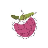 raspberry berry is drawn by one continuous line vector