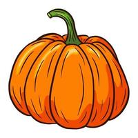 ilustración de calabaza de azúcar vector