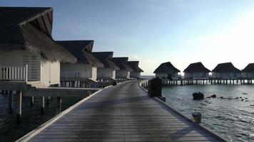 playa tropical y mar con bungalow en maldivas