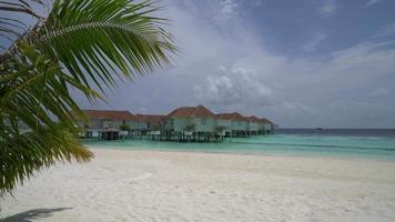 tropical beach and sea with bungalow in Maldives video