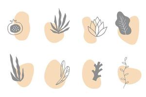 Set of hand drawn floral elements with abstract shapes vector