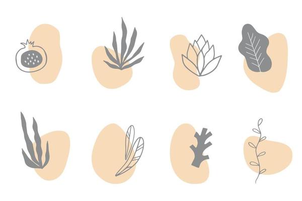 Set of hand drawn floral elements with abstract shapes