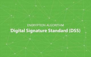 algorithm dss digital signature standard encryption illustration vector