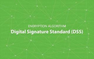 algoritmo dss firma digital cifrado estándar ilustración vector