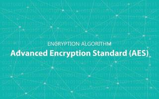 algorithm aes advanced encryption standard illustration vector