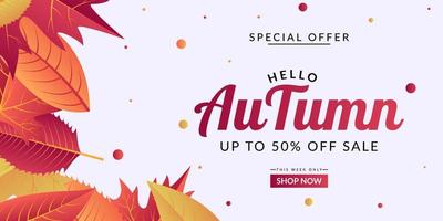 Autumn sale background template design vector