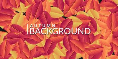 Colorful autumn leaves background vector