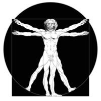 Vitruvian Man illustration grayscale vector