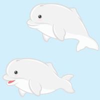 Beluga illustration in cartoon shape vector