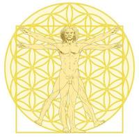 Vitruvian man with the flower of life vector