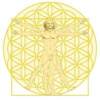 Vitruvian man with the flower of life vector