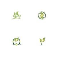 Logos of green Tree leaf ecology vector