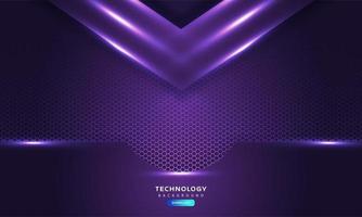 Dark purple light abstract hexagonal background vector
