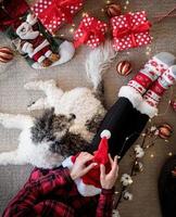 Top view of woman in funny socks celebrating Christmas with her dog photo