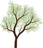 Beautiful Green tree Spring vector