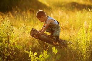 Little boy sitting on a snag photo