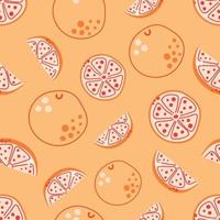 Seamless pattern of hand drawn grapefruits or oranges vector