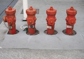 Fire hydrants on concrete pavement photo