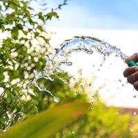 Watering plants trees in the garden photo