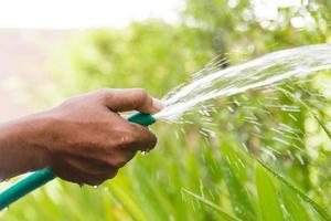 Watering plants trees in the garden photo