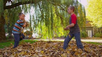 crianças brincando nas folhas de outono. filmado em vermelho épico para alta qualidade 4k, uhd, resolução ultra hd.