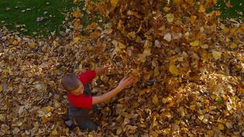 Children playing in fall leaves. Shot on RED EPIC for high quality 4K, UHD, Ultra HD resolution.