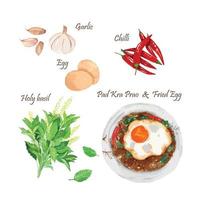 Thai Stir-Fried Minced Beef with Holy basil and Crispy Fried egg vector