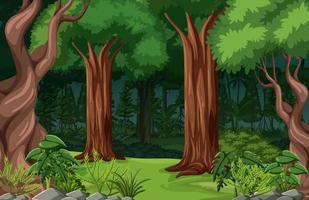 Tropical forest landscape background vector