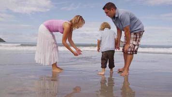 ouders en jonge zoon op zoek naar schelpen op het strand. geschoten op rood episch voor hoge kwaliteit 4k, uhd, ultra hd-resolutie. video