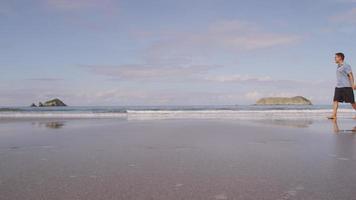 coppia che cammina sulla spiaggia, costa rica. girato in rosso epico per una risoluzione 4k, uhd, ultra hd di alta qualità. video