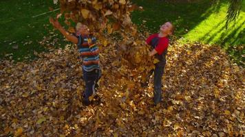 Children playing in fall leaves. Shot on RED EPIC for high quality 4K, UHD, Ultra HD resolution. video