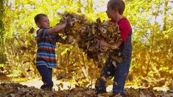 niños jugando en hojas de otoño. filmado en rojo épico para una resolución de alta calidad de 4k, uhd, ultra hd. video