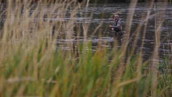 Mann Fliegenfischen im Fluss wird von hohem Gras umrahmt video