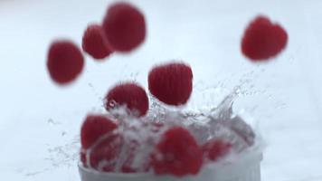 Raspberries splashing in slow motion video