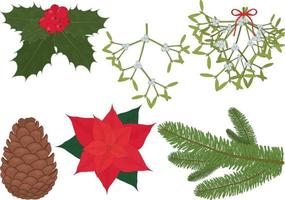 Christmas and new year traditional plants for interior decoration vector illustration