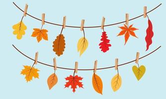 Garland of autumn leaves, leaves on clothespins. vector