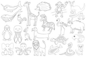 Hand drawn cute Animals collection isolated in a white background vector