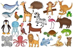 Hand drawn cute Animals collection isolated in a white background vector