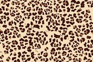 Leopard Pattern Decorative Background Vector Illustration