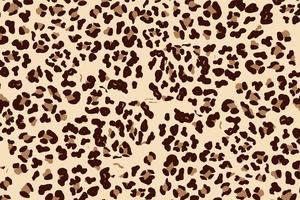 Leopard Pattern Decorative Background Vector Illustration